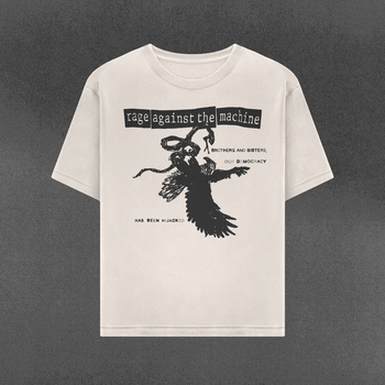 Our Democracy Has Been Hijacked Tee